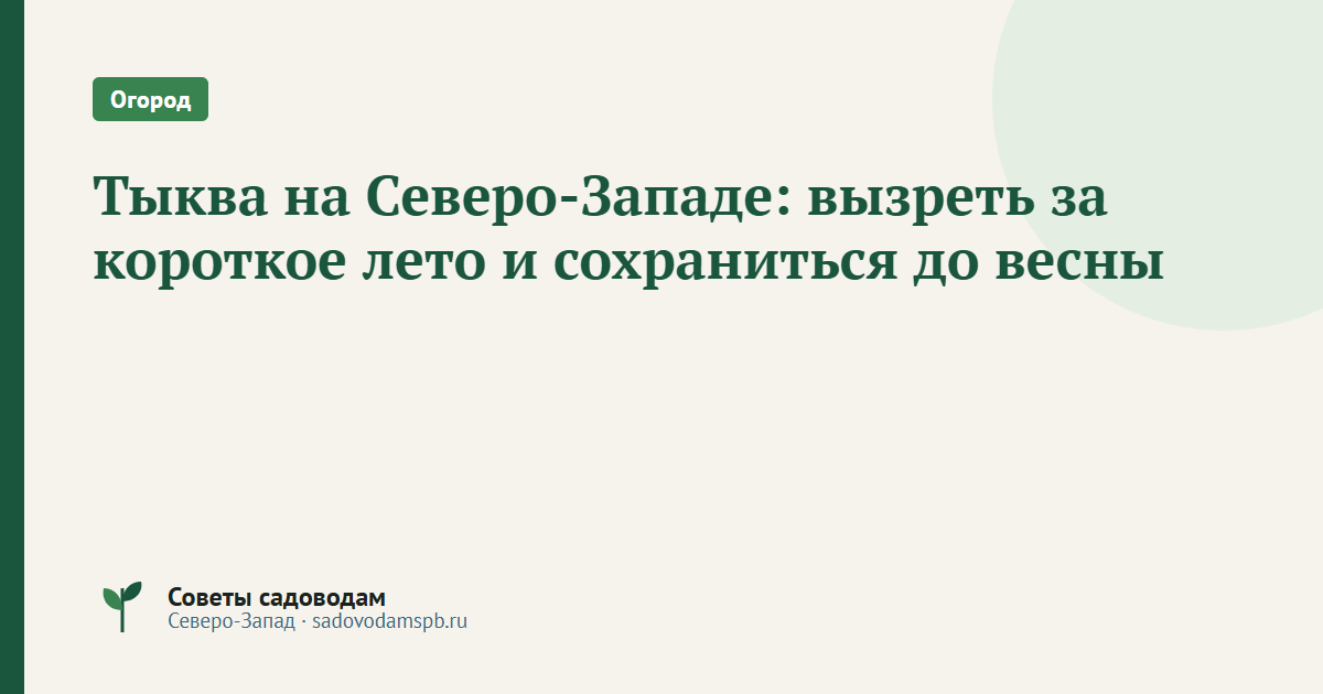 Тыква на Северо-Западе: вызреть за короткое лето и сохраниться до весны