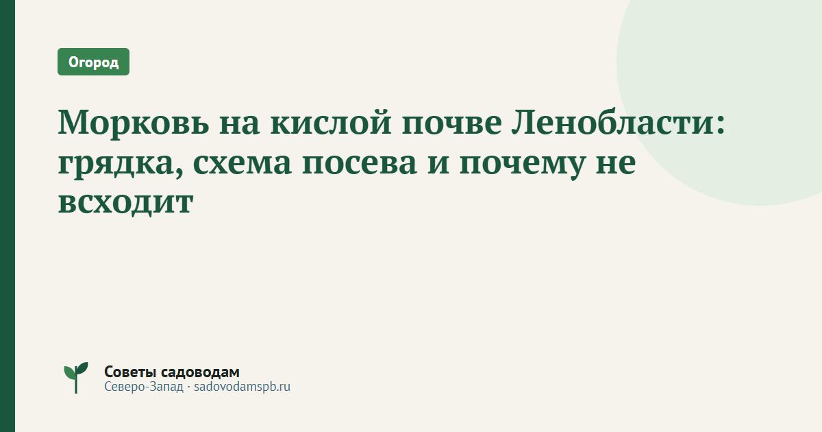 Морковь на кислой почве Ленобласти: грядка, схема посева и почему не всходит