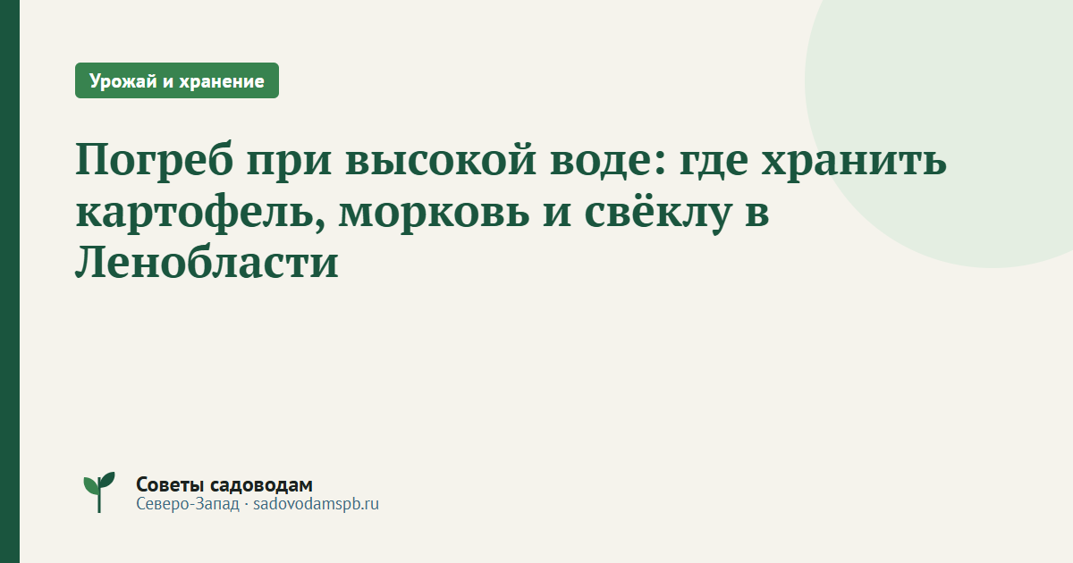 Погреб при высокой воде: где хранить картофель, морковь и свёклу в Ленобласти