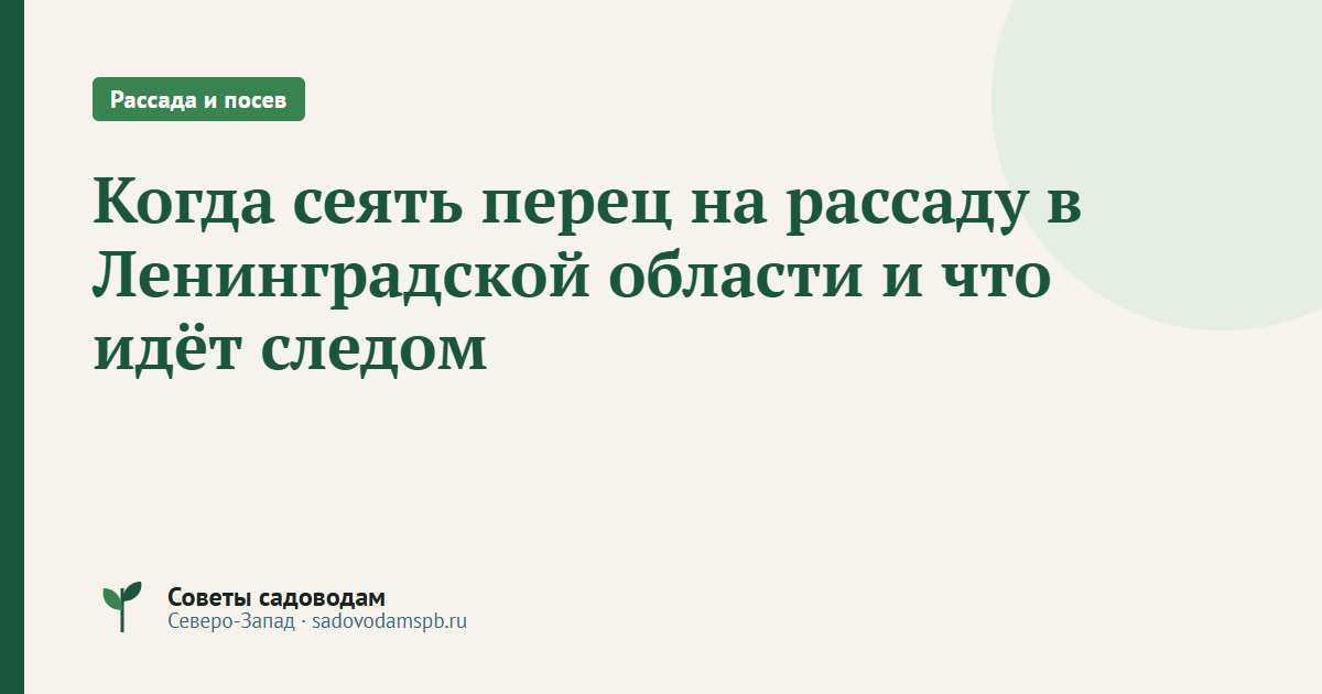 Когда сеять перец на рассаду в Ленинградской области и что идёт следом