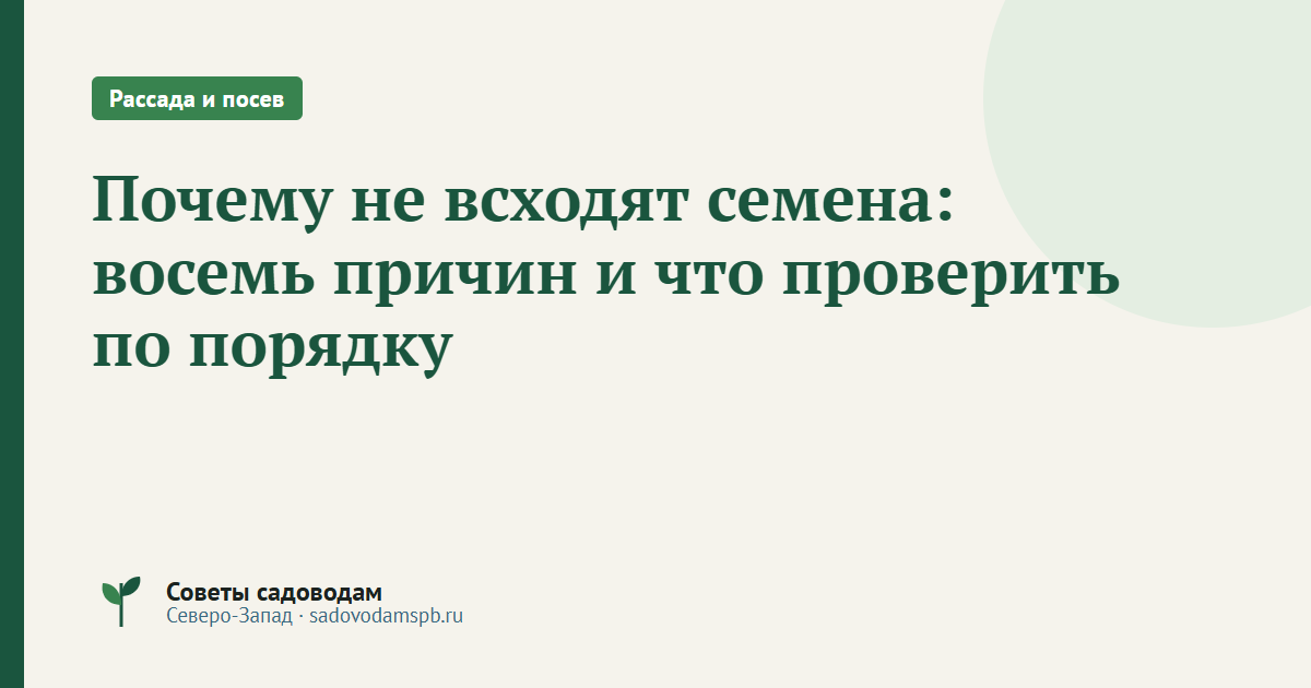 Почему не всходят семена: восемь причин и что проверить по порядку