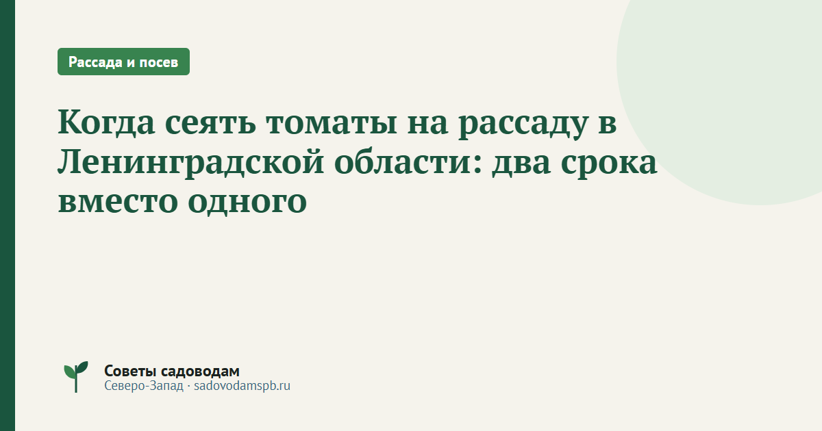 Когда сеять томаты на рассаду в Ленинградской области: два срока вместо одного